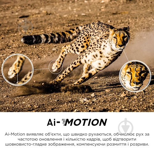 Телевизор TCL 55C845 - фото 22 Телевизор TCL 55C845 - фото 22