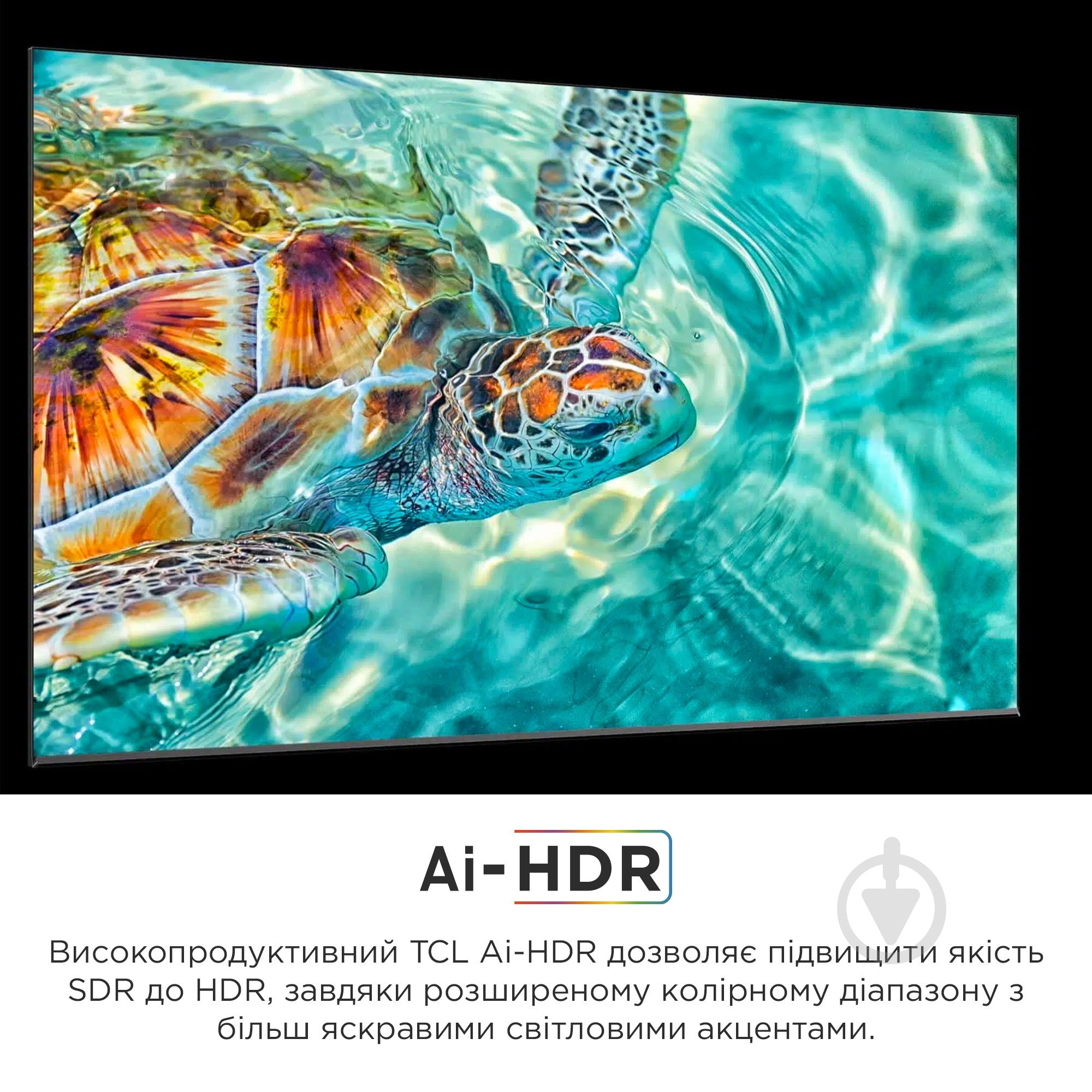 Телевизор TCL 55C845 - фото 17 Телевизор TCL 55C845 - фото 17