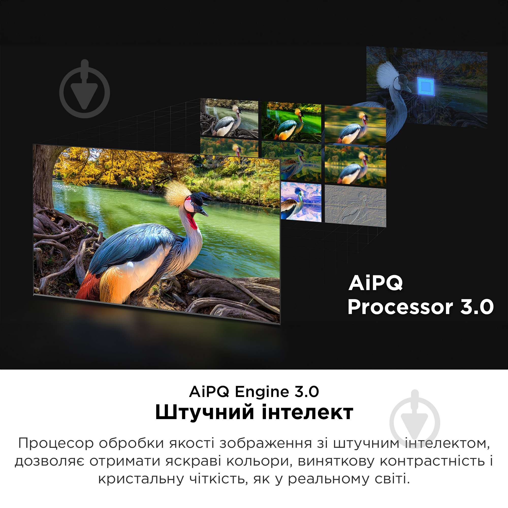 Телевизор TCL 55C845 - фото 16 Телевизор TCL 55C845 - фото 16