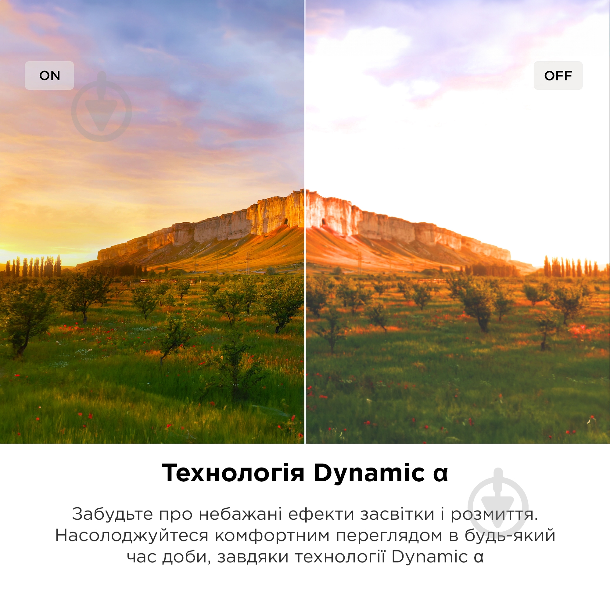 Телевизор TCL 55C845 - фото 10 Телевизор TCL 55C845 - фото 10