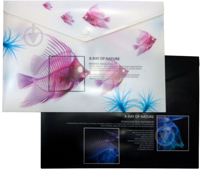 Папка-конверт O35208 Optima - фото 3