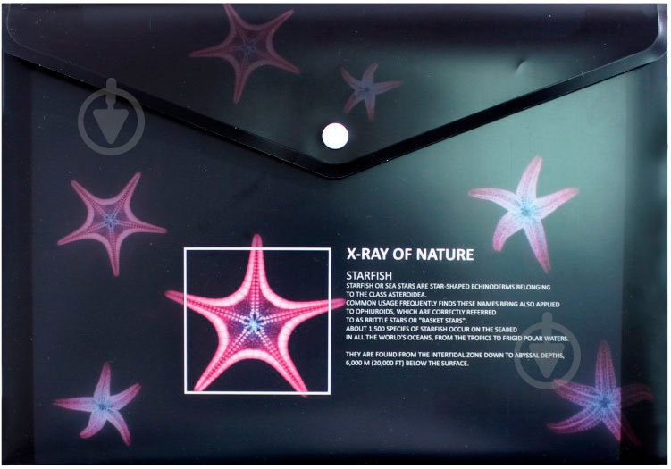 Папка-конверт O35208 Optima - фото 6