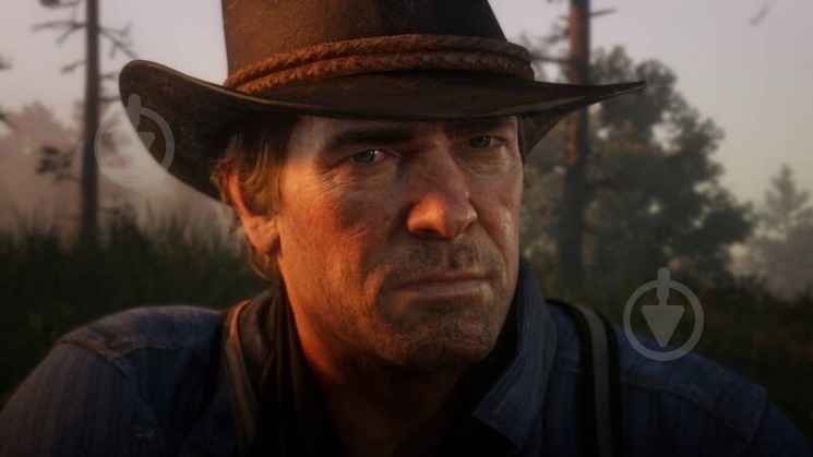 Игра Sony PS4 Red Dead Redemption 2, BD диск - фото 6