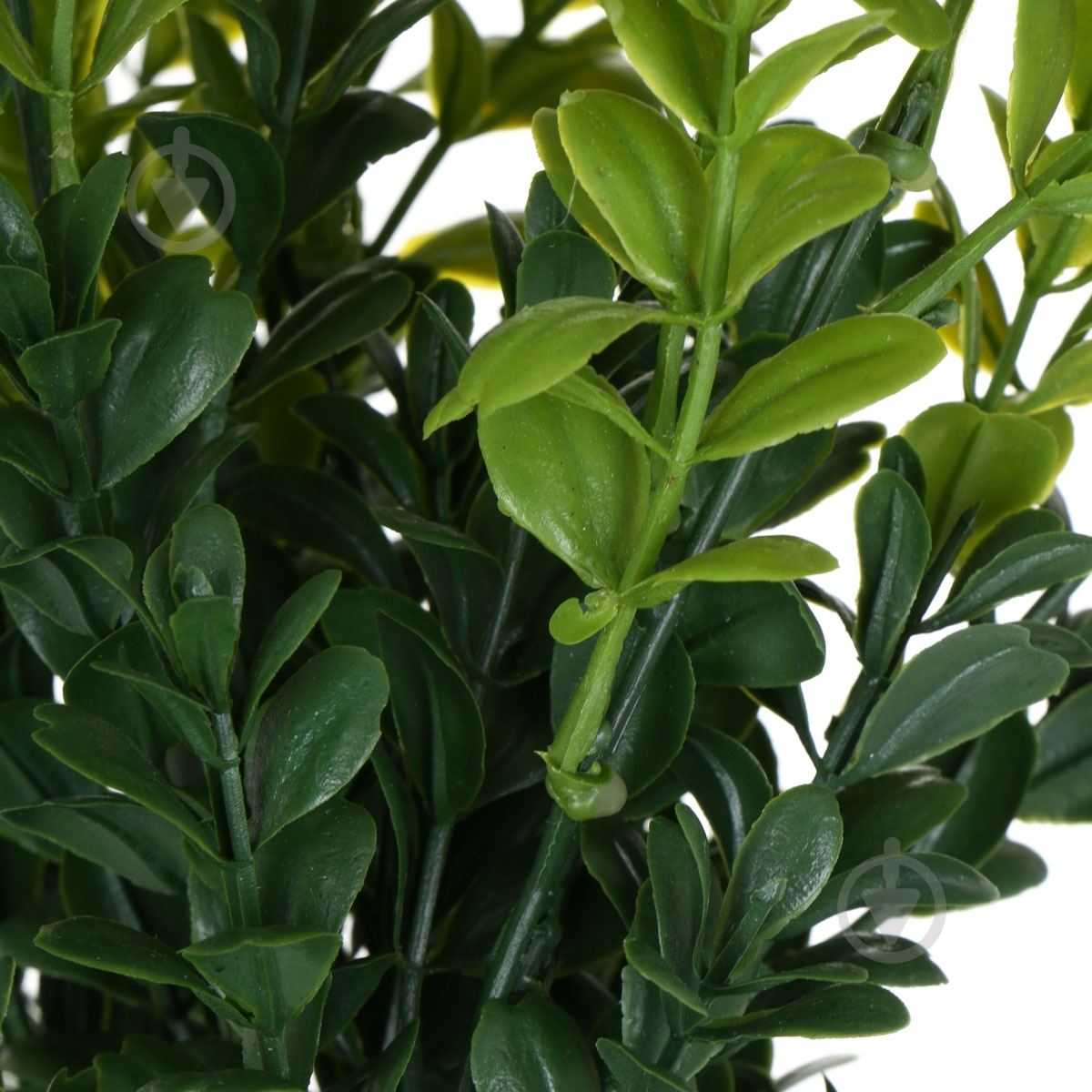 Растение искусственное Самшит 34 см - фото 2 Растение искусственное Самшит 34 см - фото 2