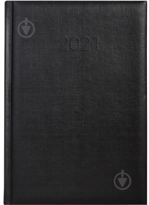Дневник датированный черный линия Economix Basic A5 2021 E21813-01 - фото 1