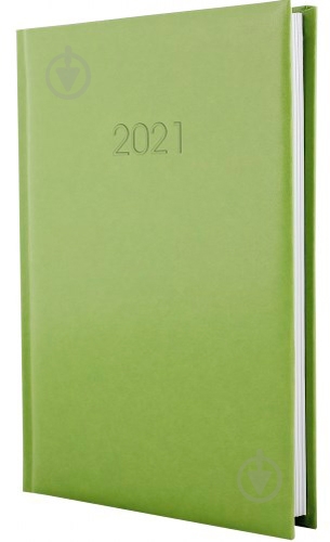 Щоденник датований фісташковий лінія Economix Flash A6 2021 E21826-67 - фото 1