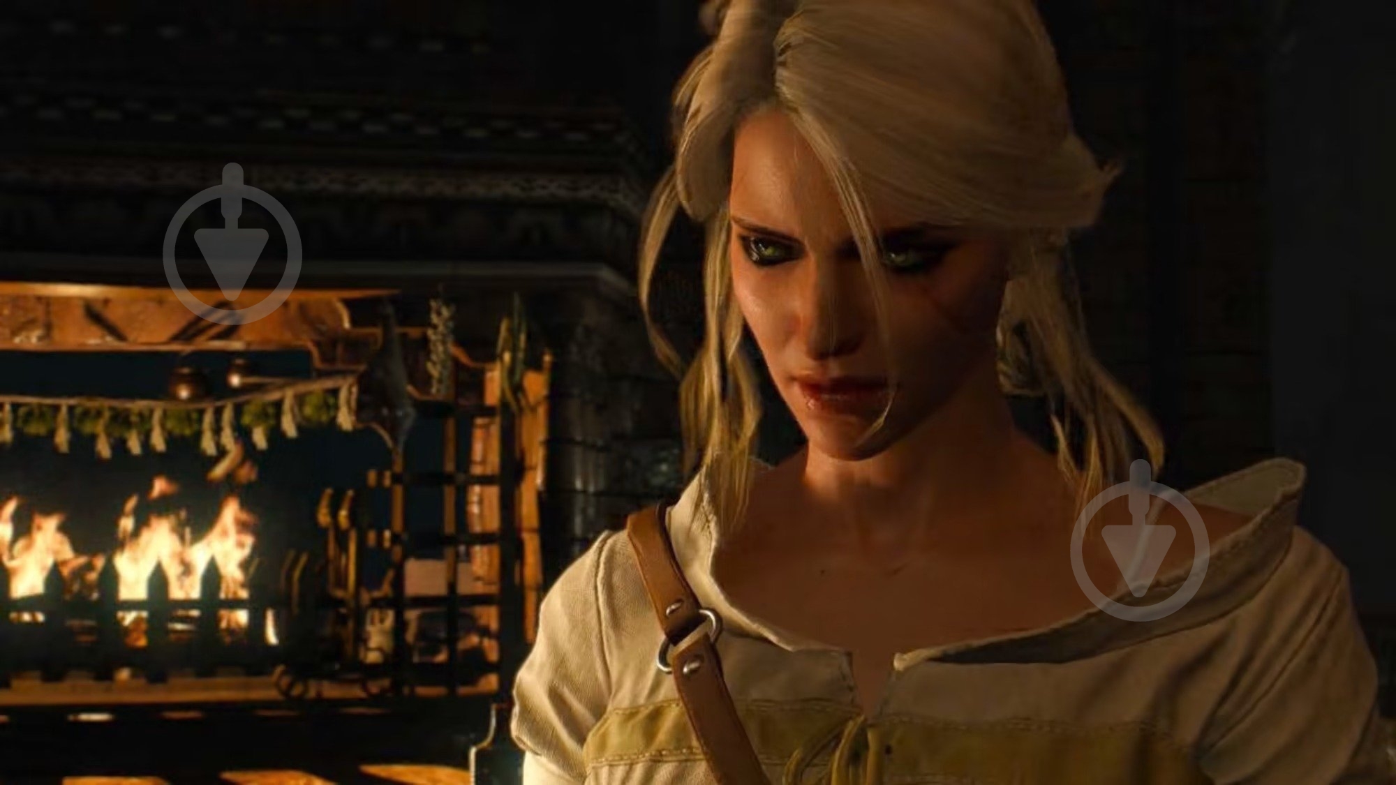 Игра NINTENDO The Witcher 3: Wild Hunt (5902367641825) - фото 2