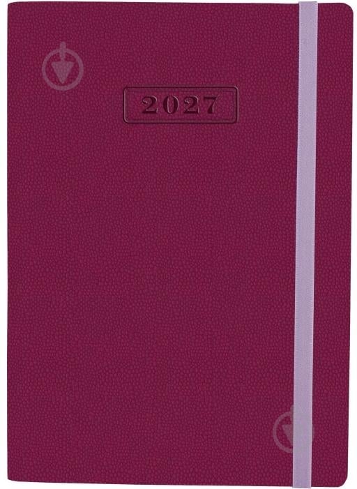 Дневник датированный Optima Namib A5 2027 O25205-18 бордовый - фото 1