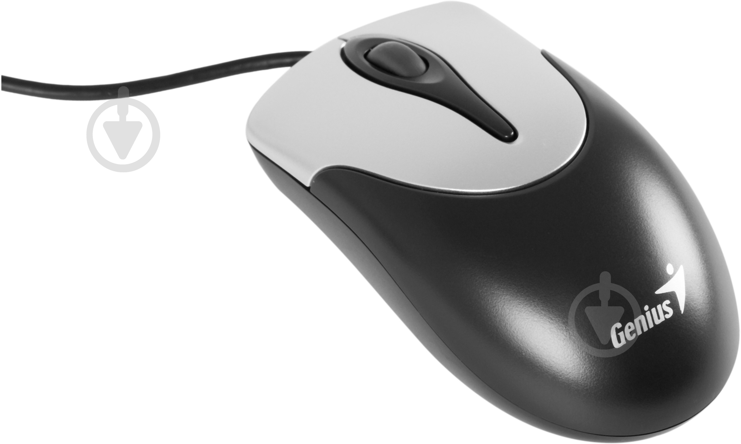Мышь Genius NS 100 USB G5 (31010006102) black - фото 2
