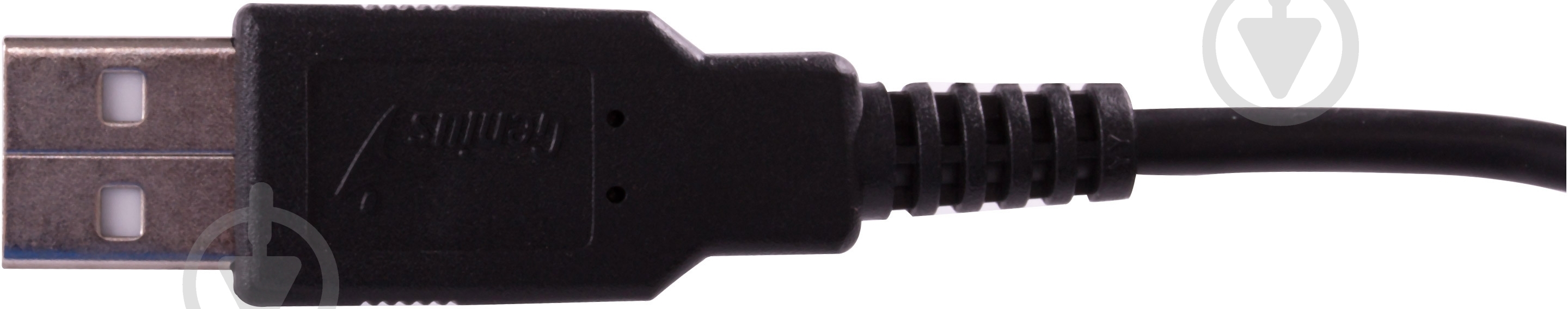Мышь Genius NS 100 USB G5 (31010006102) black - фото 4
