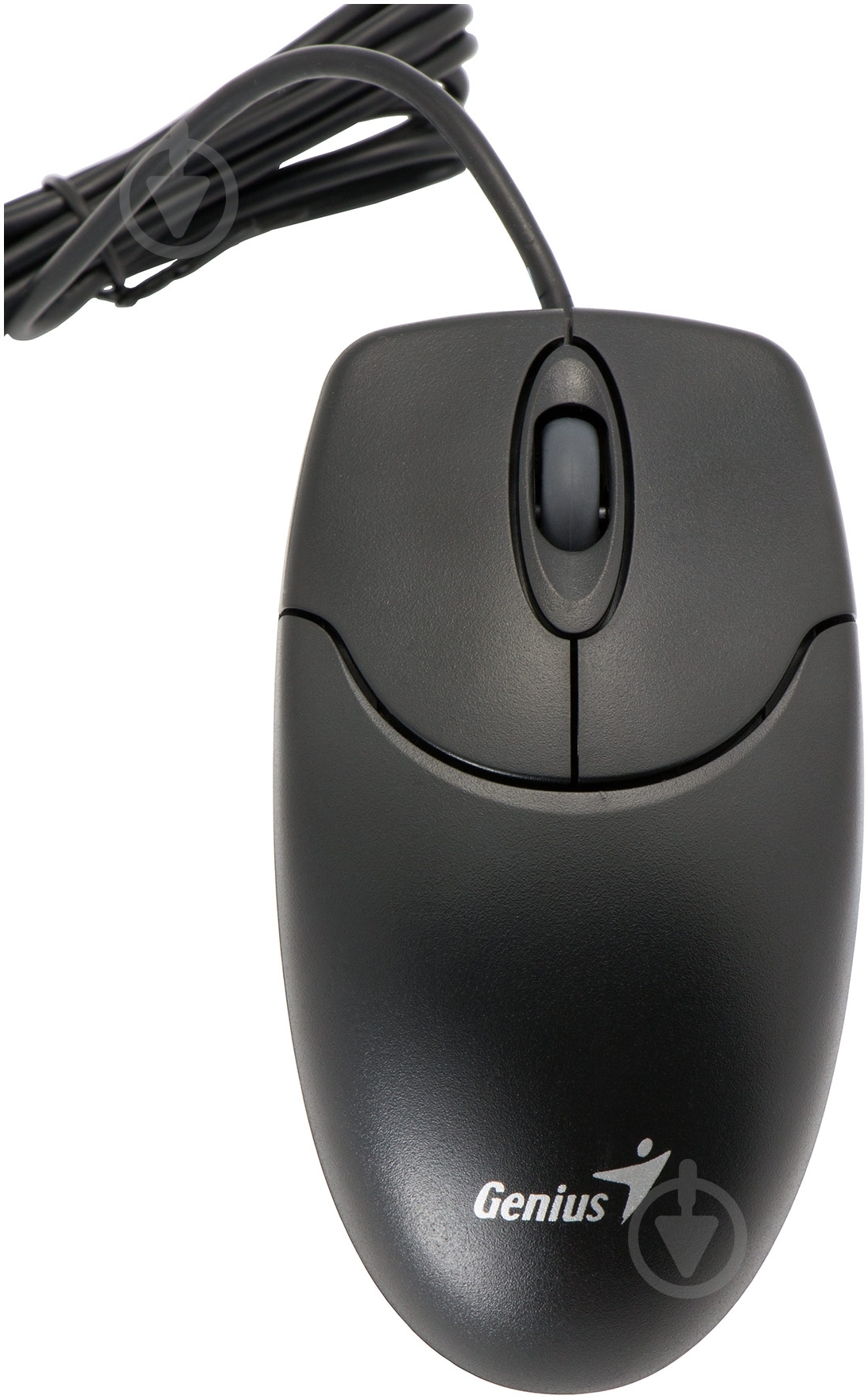 Мышь Genius NS 120 USB G5 (31011293109) black - фото 1