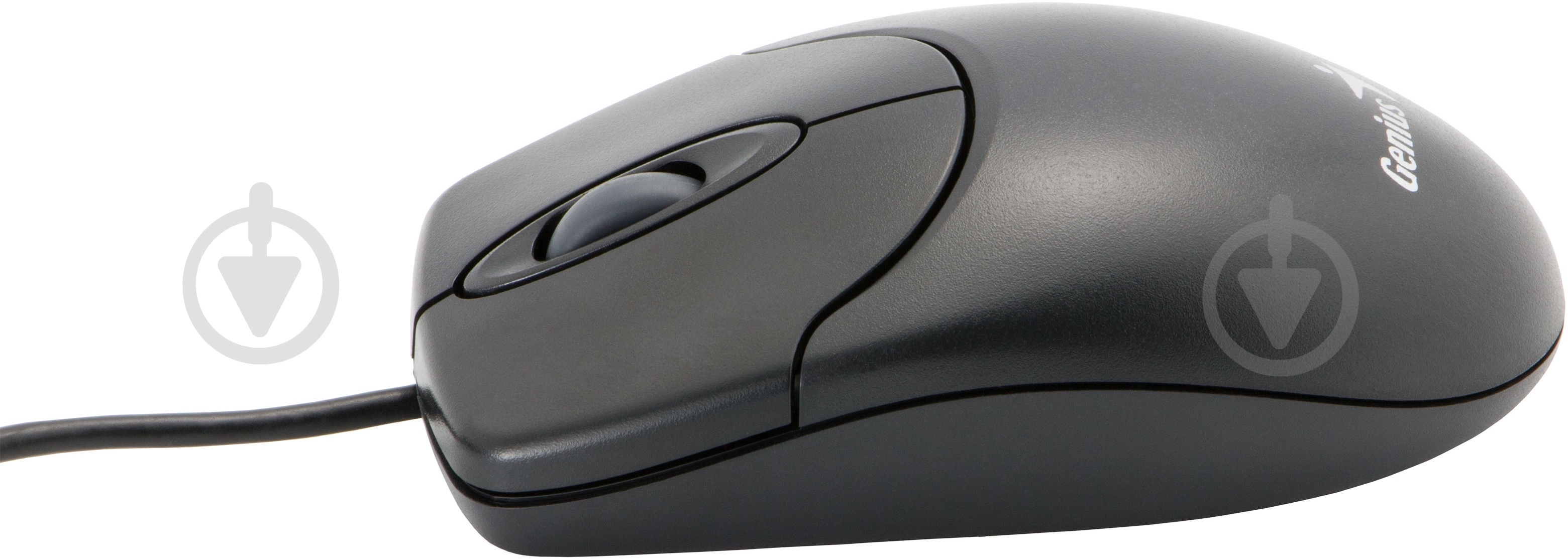 Мышь Genius NS 120 USB G5 (31011293109) black - фото 2