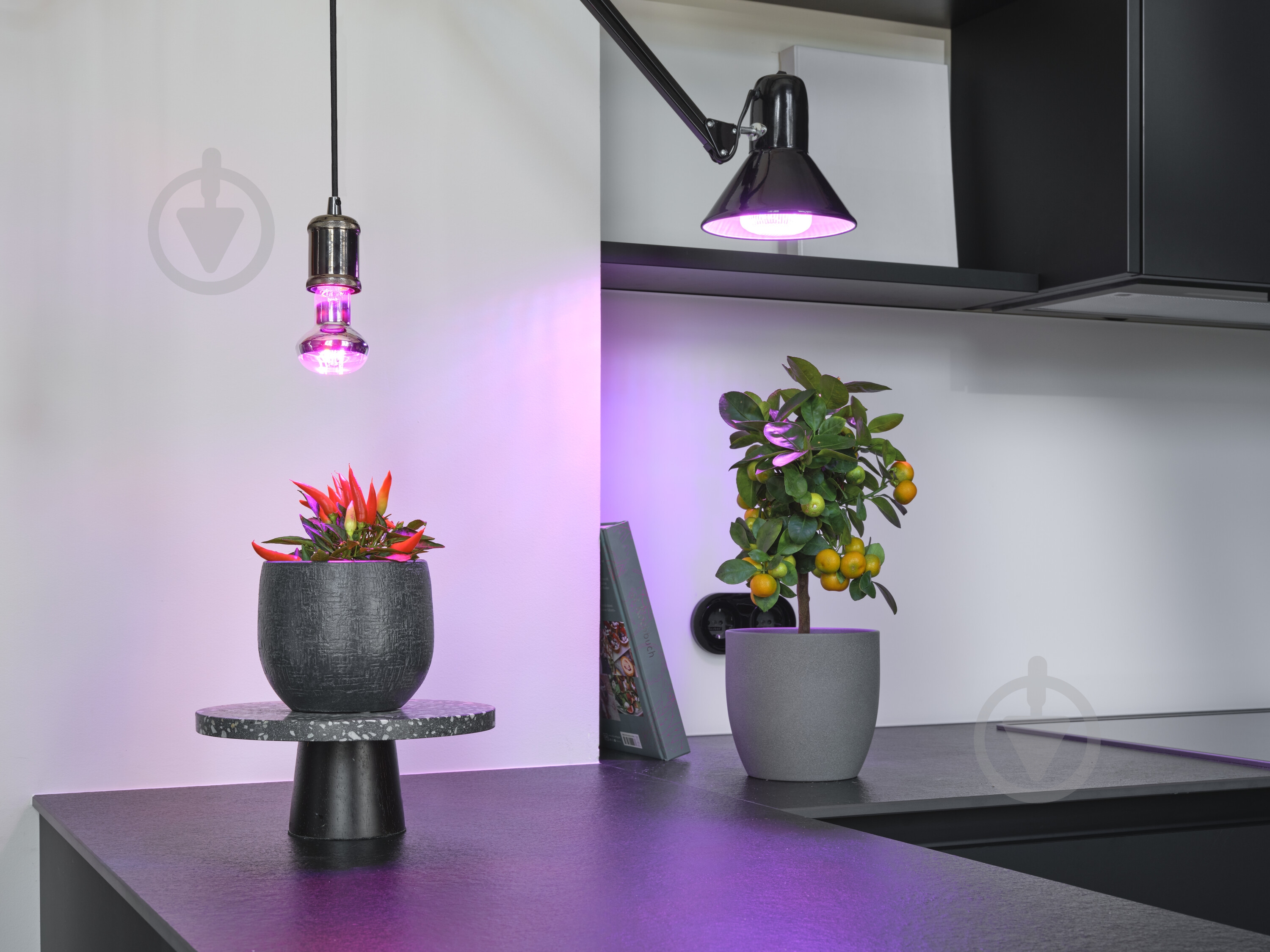 ᐉ Лампа світлодіодна для росту рослин Osram Star Grow 10 Вт E27