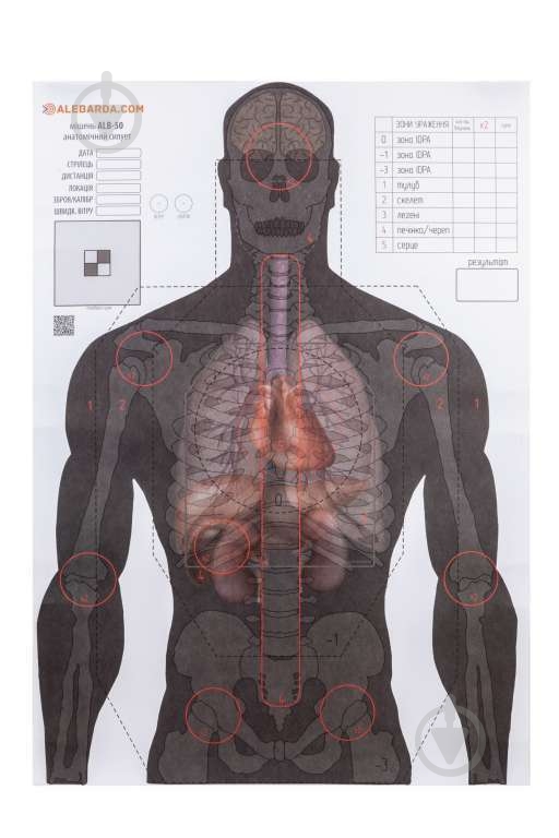 Мишень Alebarda бумажная анатомический силуэт ALB-50 - фото 1 Мишень Alebarda бумажная анатомический силуэт ALB-50 - фото 1