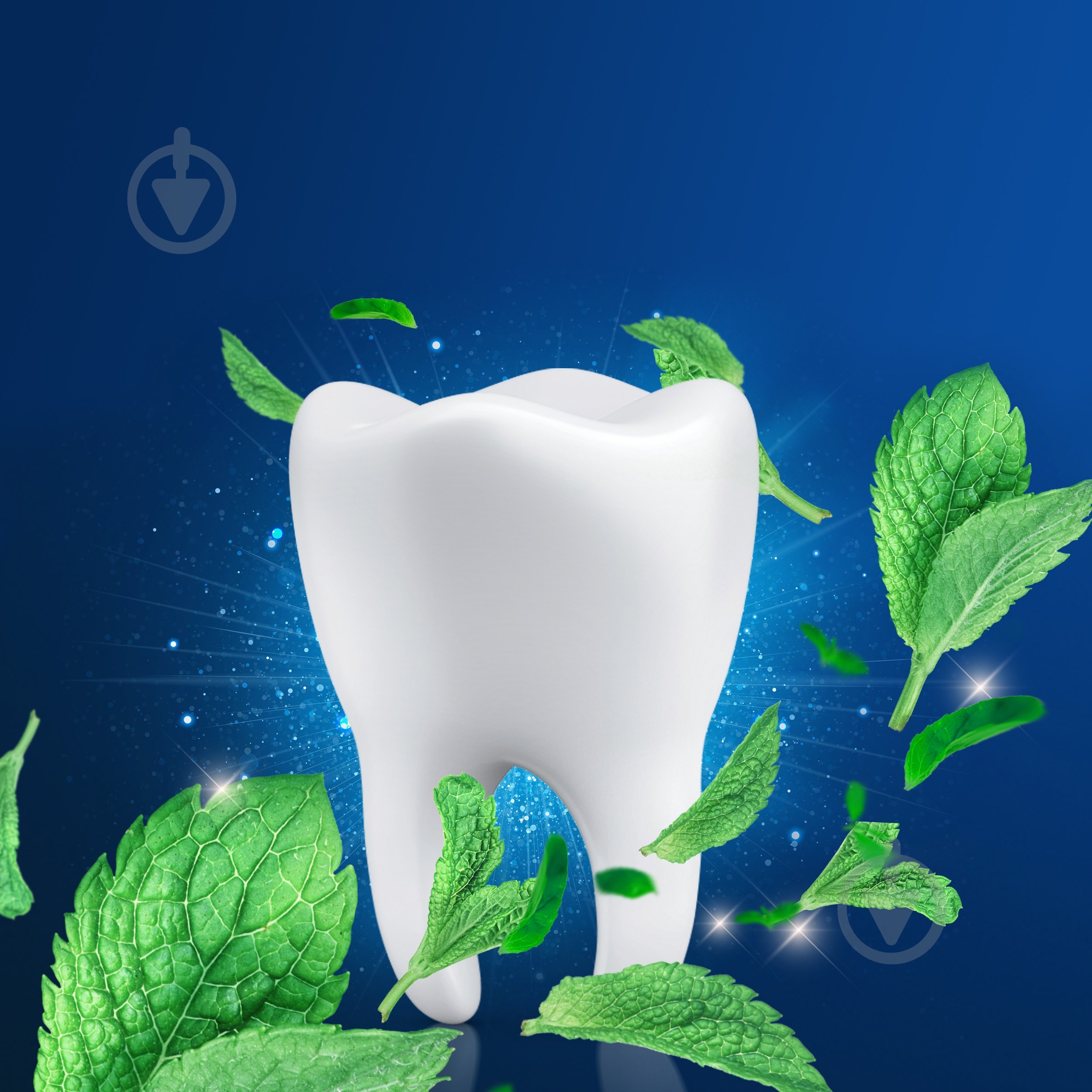 Нить Oral-B Essential Floss 50 м - фото 4