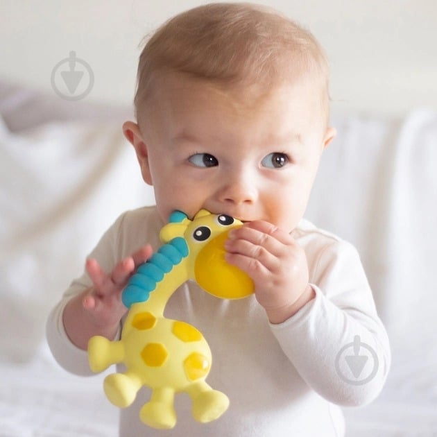 Прорезыватель Playgro "Жираф" 71370 - фото 3 Прорезыватель Playgro "Жираф" 71370 - фото 3