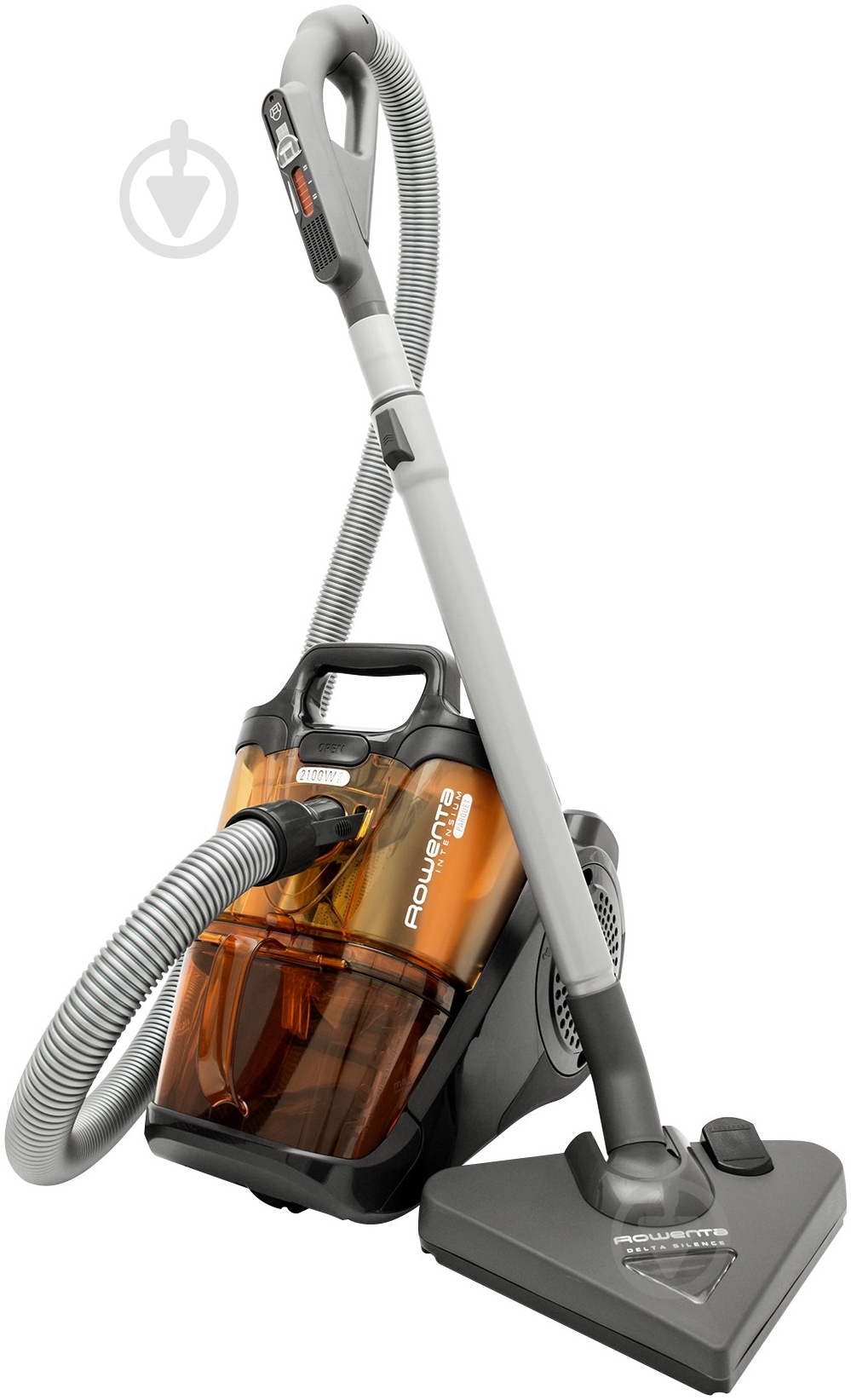 Пылесос Rowenta RO6679R1 - фото 1