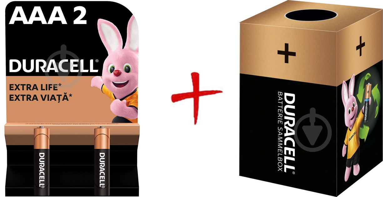 Батарейки щелочные Duracell MN2400 AAA (мизинчиковые) 2 шт. (+ Еко-бокс Duracell) - фото 1 Батарейки щелочные Duracell MN2400 AAA (мизинчиковые) 2 шт. (+ Еко-бокс Duracell) - фото 1