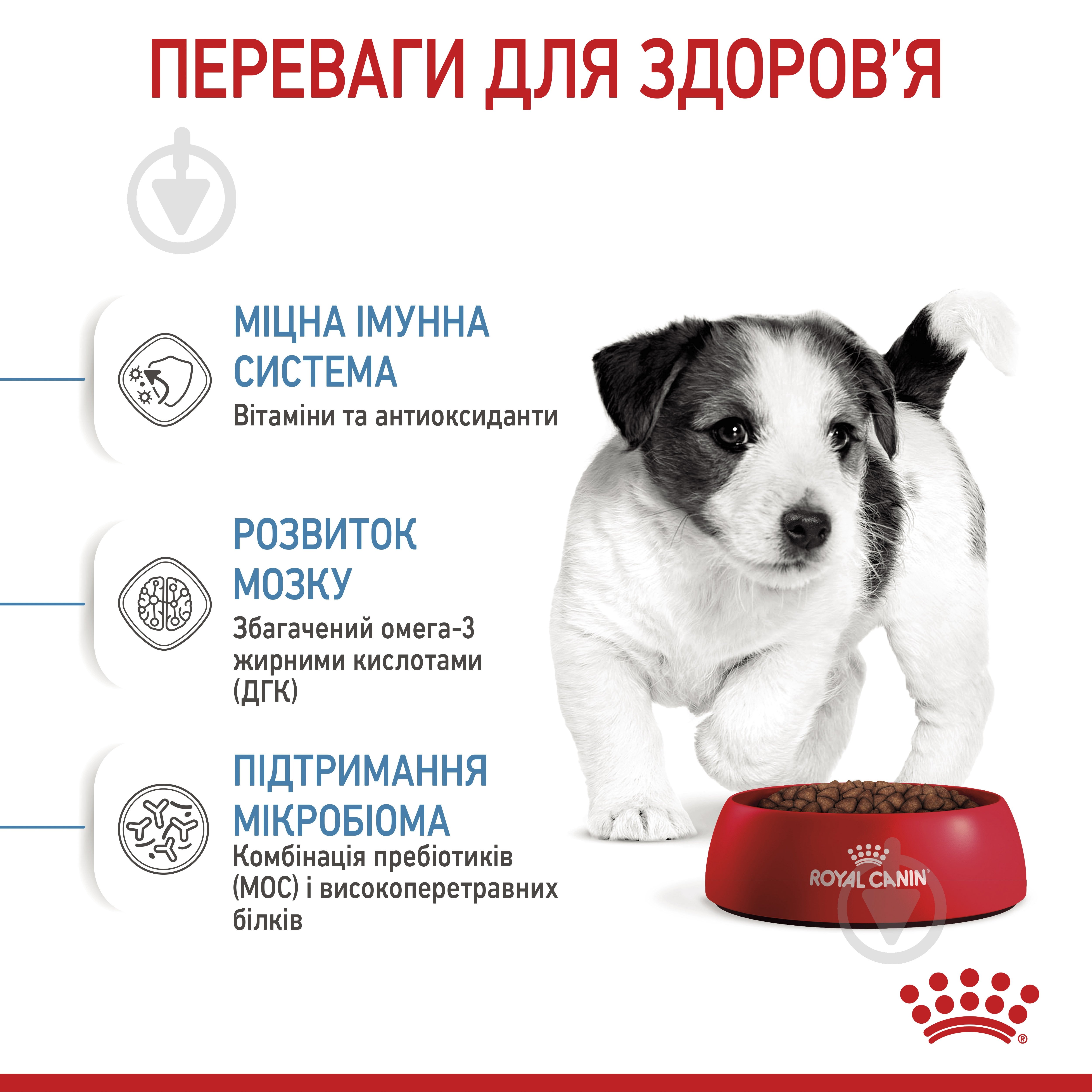 Корм сухой Royal Canin Mini Puppy 0,8 кг (домашняя птица, рис, кукуруза) 800 г - фото 5