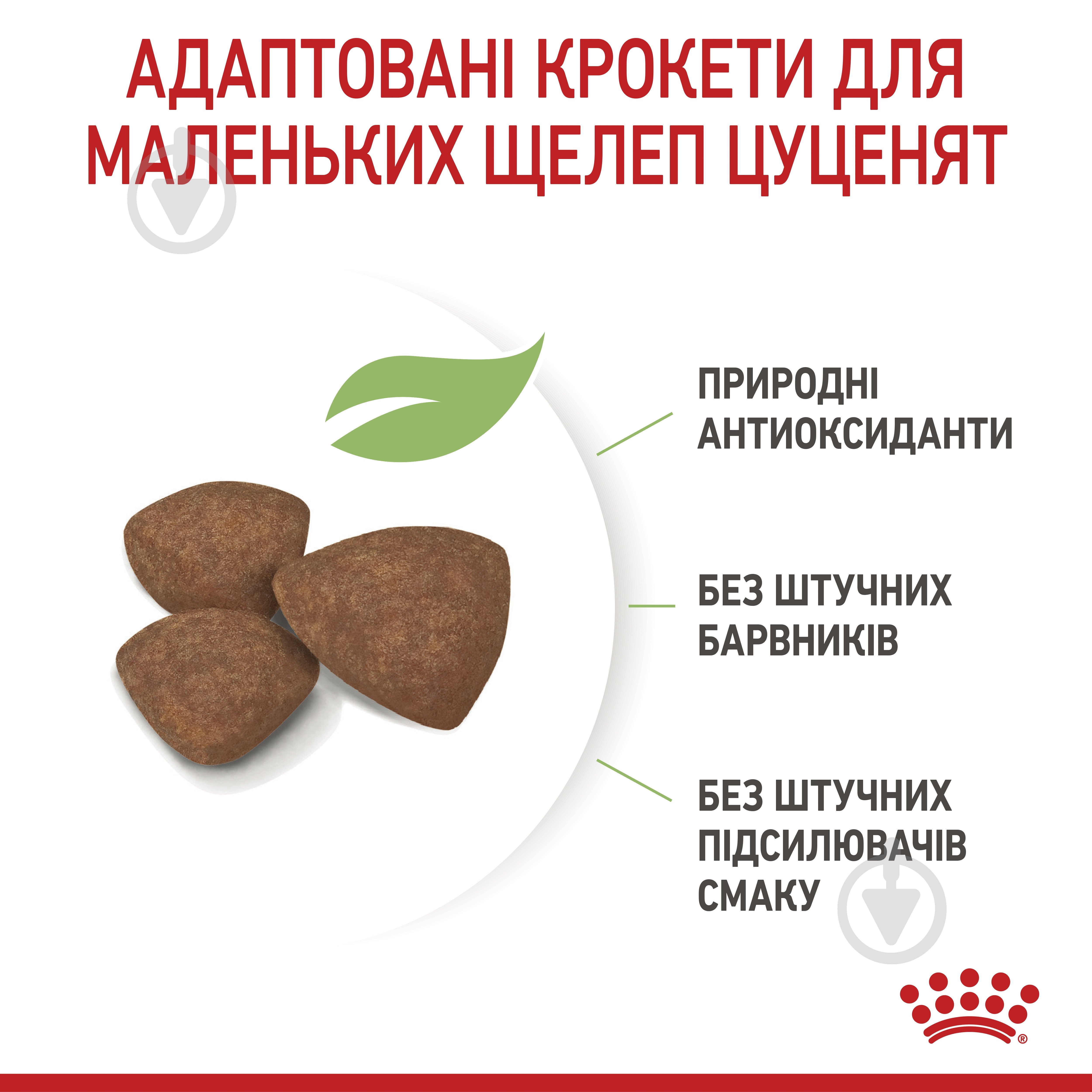 Корм сухой Royal Canin Mini Puppy 0,8 кг (домашняя птица, рис, кукуруза) 800 г - фото 6