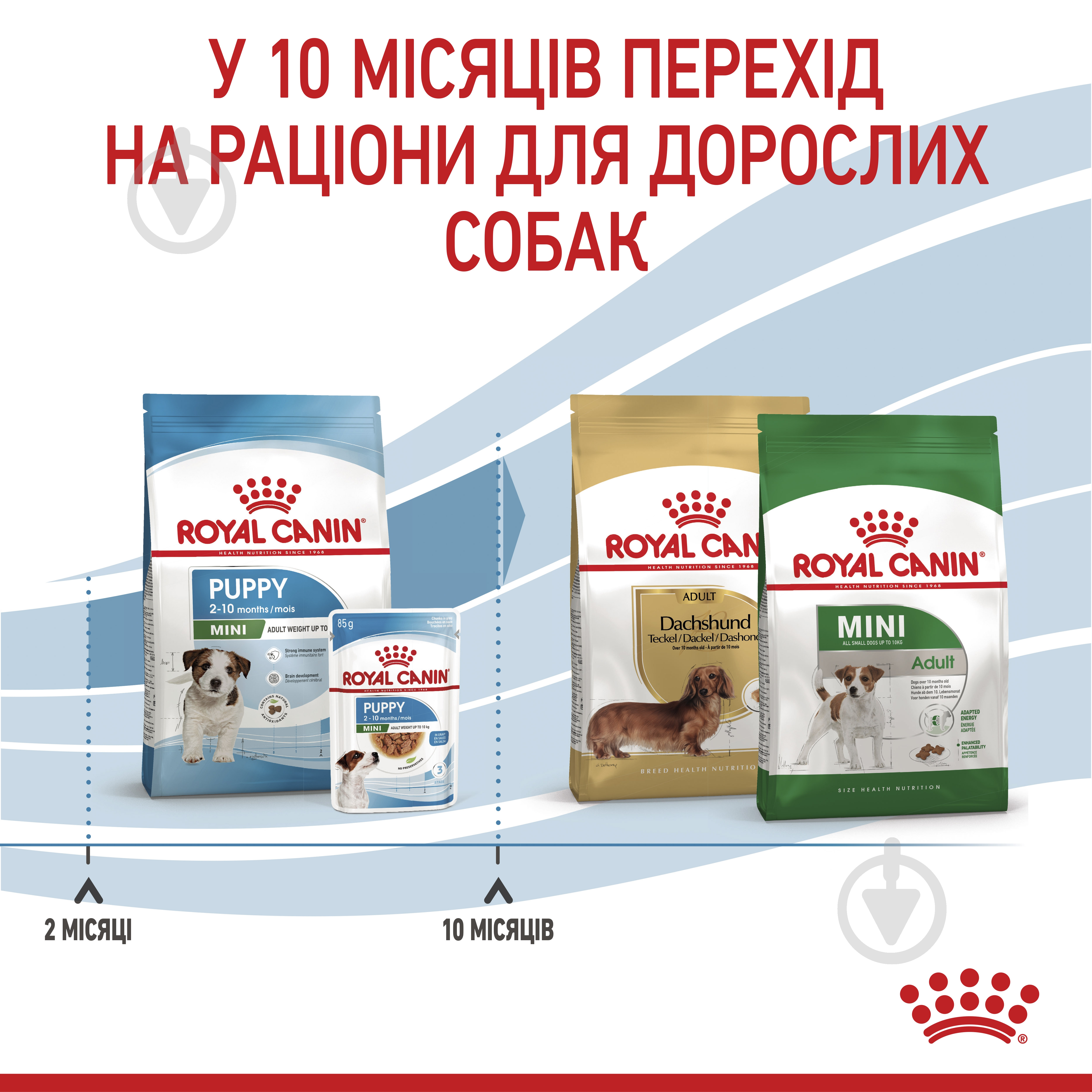 Корм сухой Royal Canin Mini Puppy 0,8 кг (домашняя птица, рис, кукуруза) 800 г - фото 7