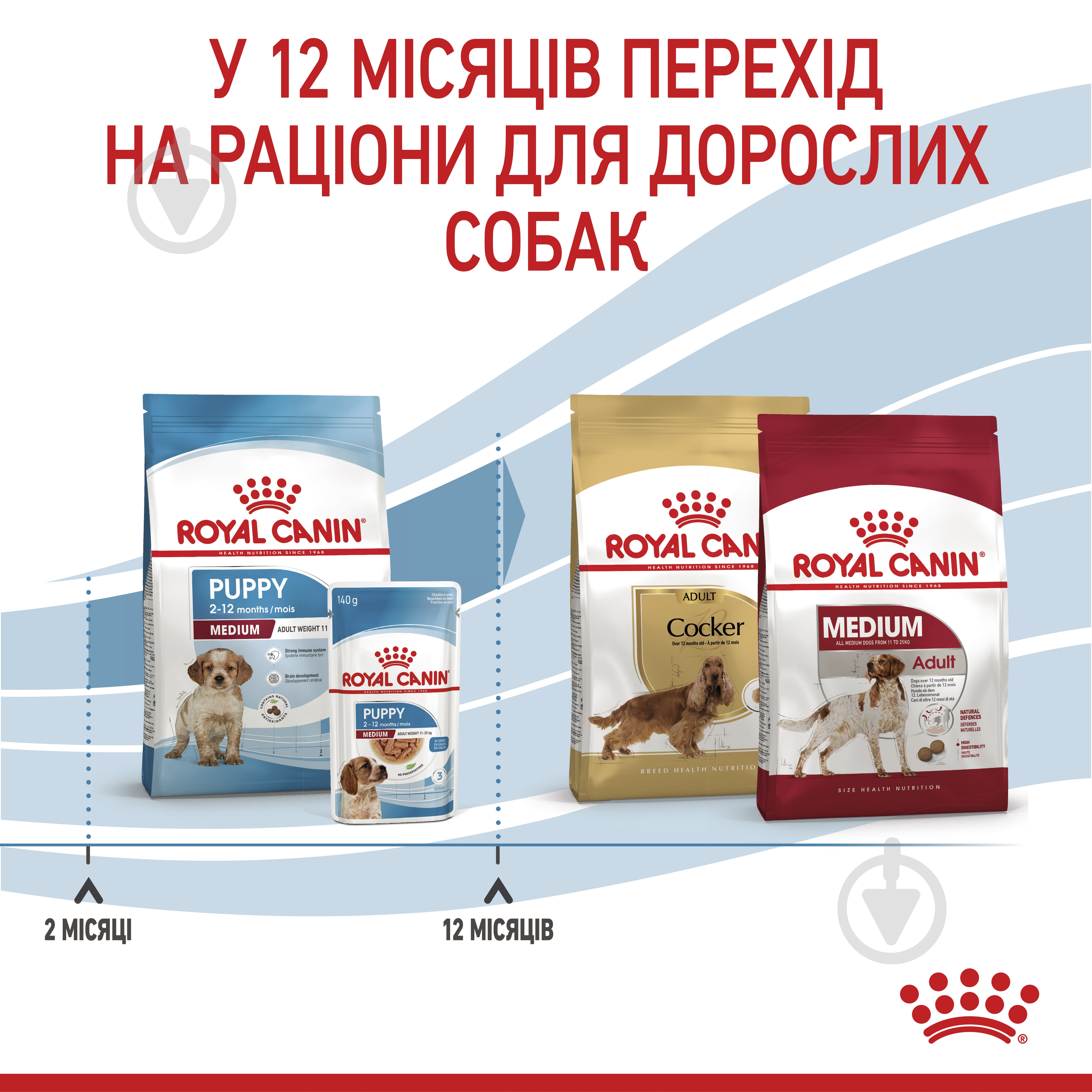 Корм сухой Royal Canin MEDIUM PUPPY 4 кг (домашняя птица, рис, кукуруза) 4 кг - фото 7