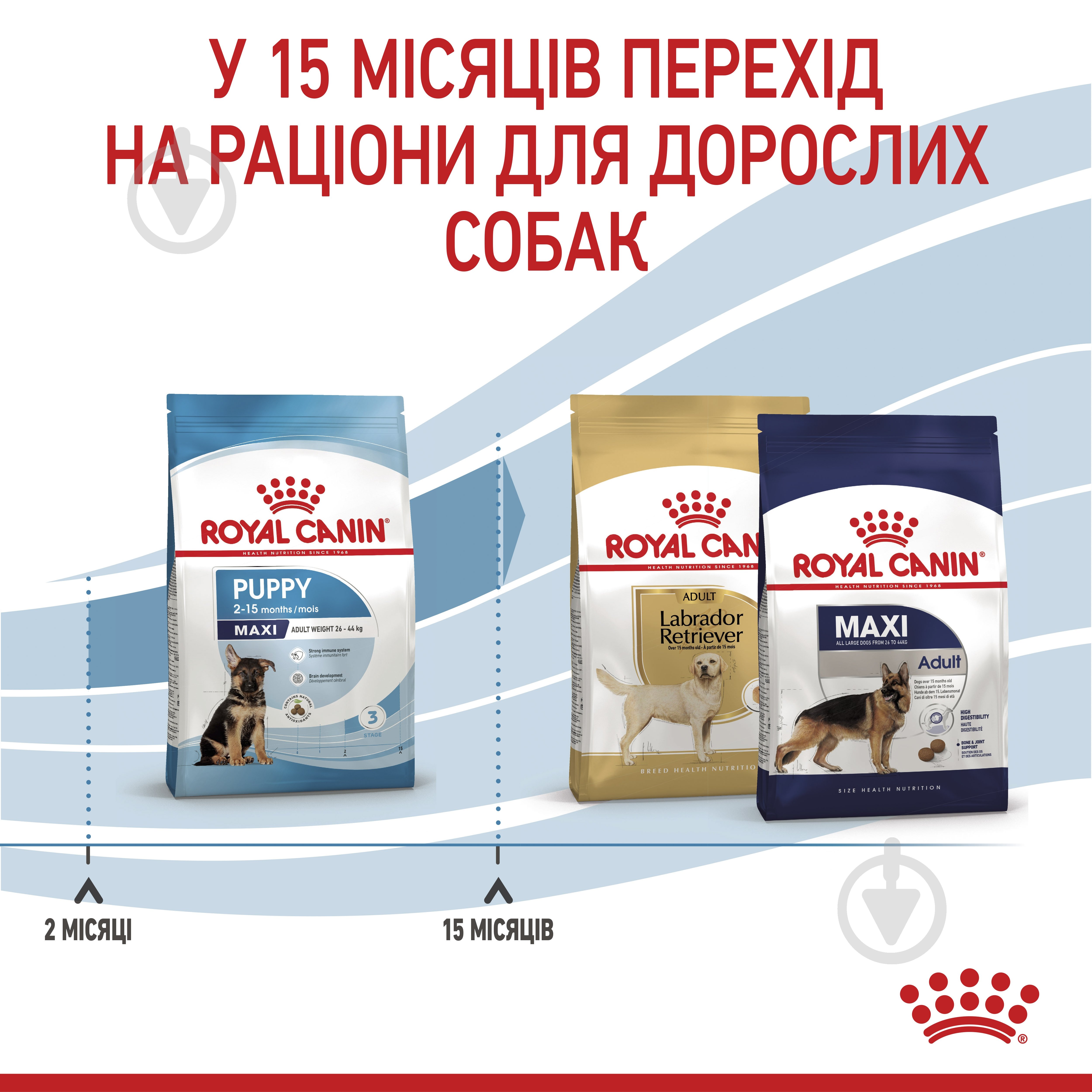 Корм сухой Royal Canin MAXI PUPPY 4 кг (домашняя птица, рис, кукуруза) 4 кг - фото 7