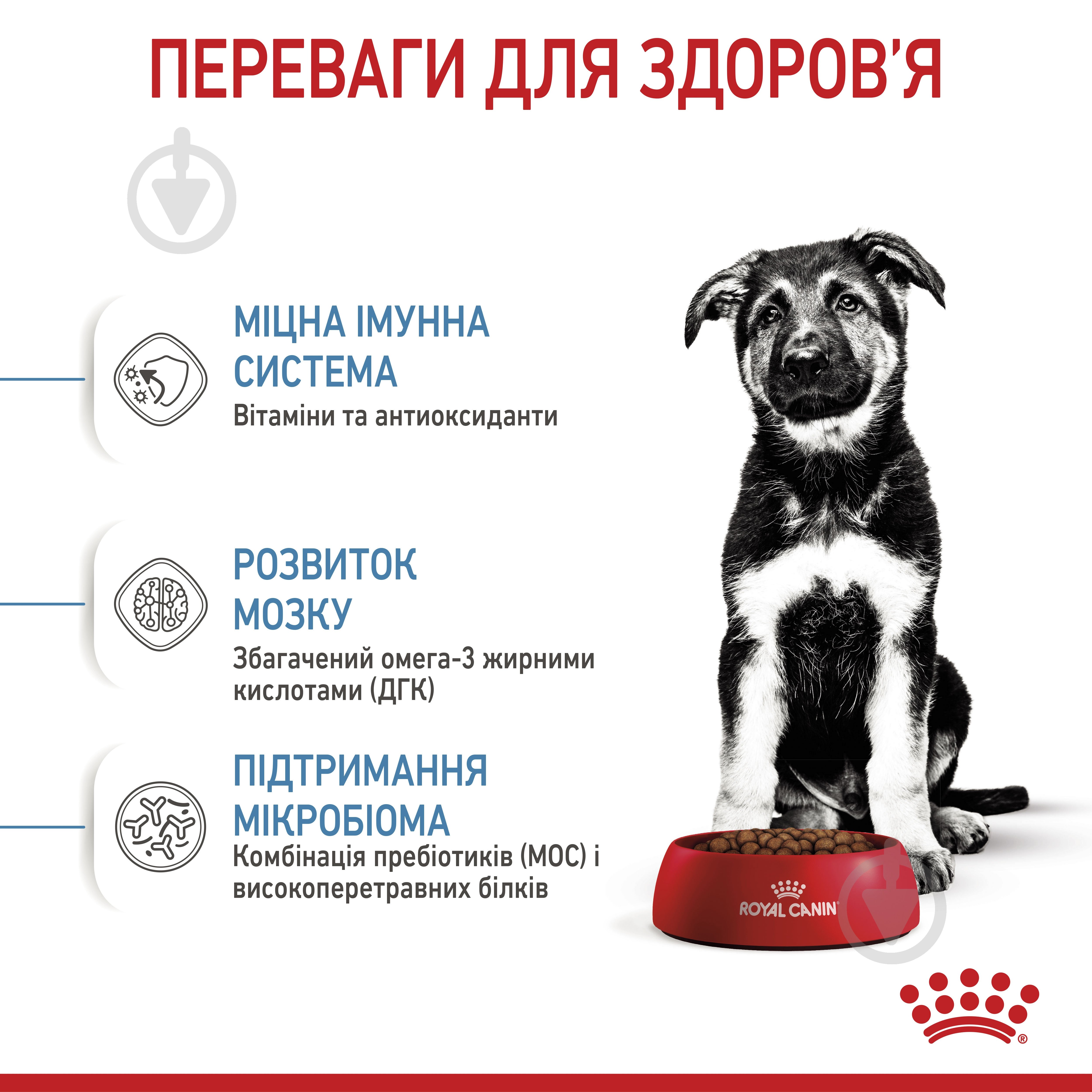 Корм сухой Royal Canin MAXI PUPPY 15 кг (домашняя птица, рис, кукуруза) 15 кг - фото 5