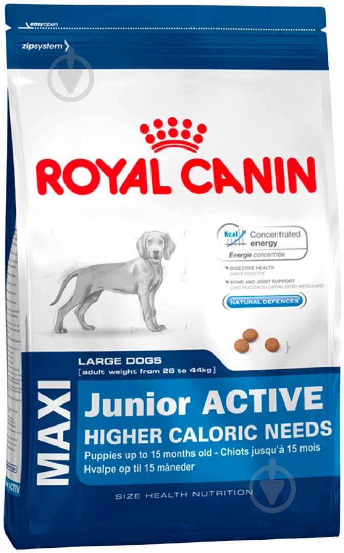 Корм сухий для цуценят для крупних порід Royal Canin Maxi Junior Active 4 кг (свійська птиця, рис, кукурудза) 4 кг - фото 1 Корм сухий для цуценят для крупних порід Royal Canin Maxi Junior Active 4 кг (свійська птиця, рис, кукурудза) 4 кг - фото 1
