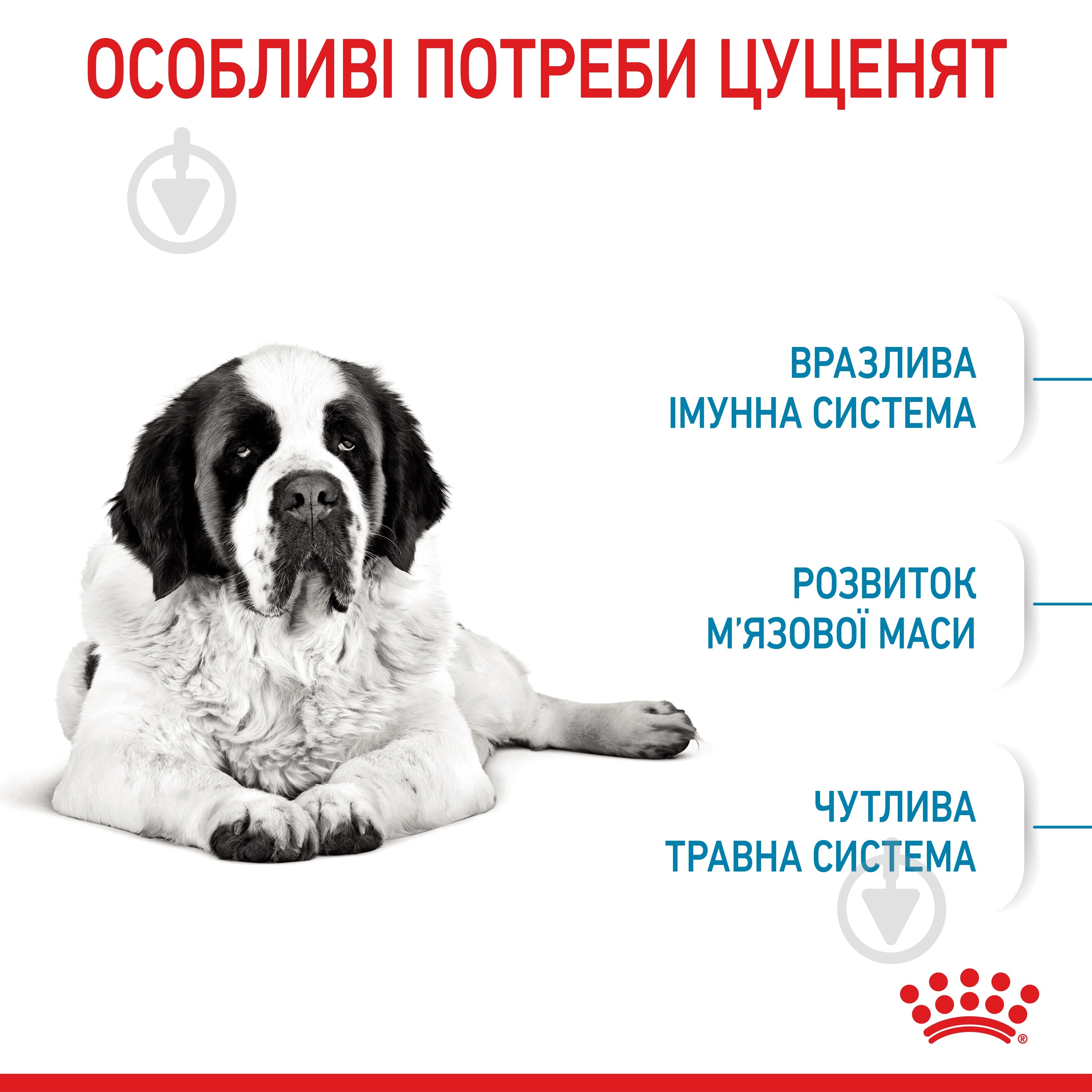 Корм сухой Royal Canin GIANT JUNIOR 15 кг (домашняя птица, рис, кукуруза) 15 кг - фото 3