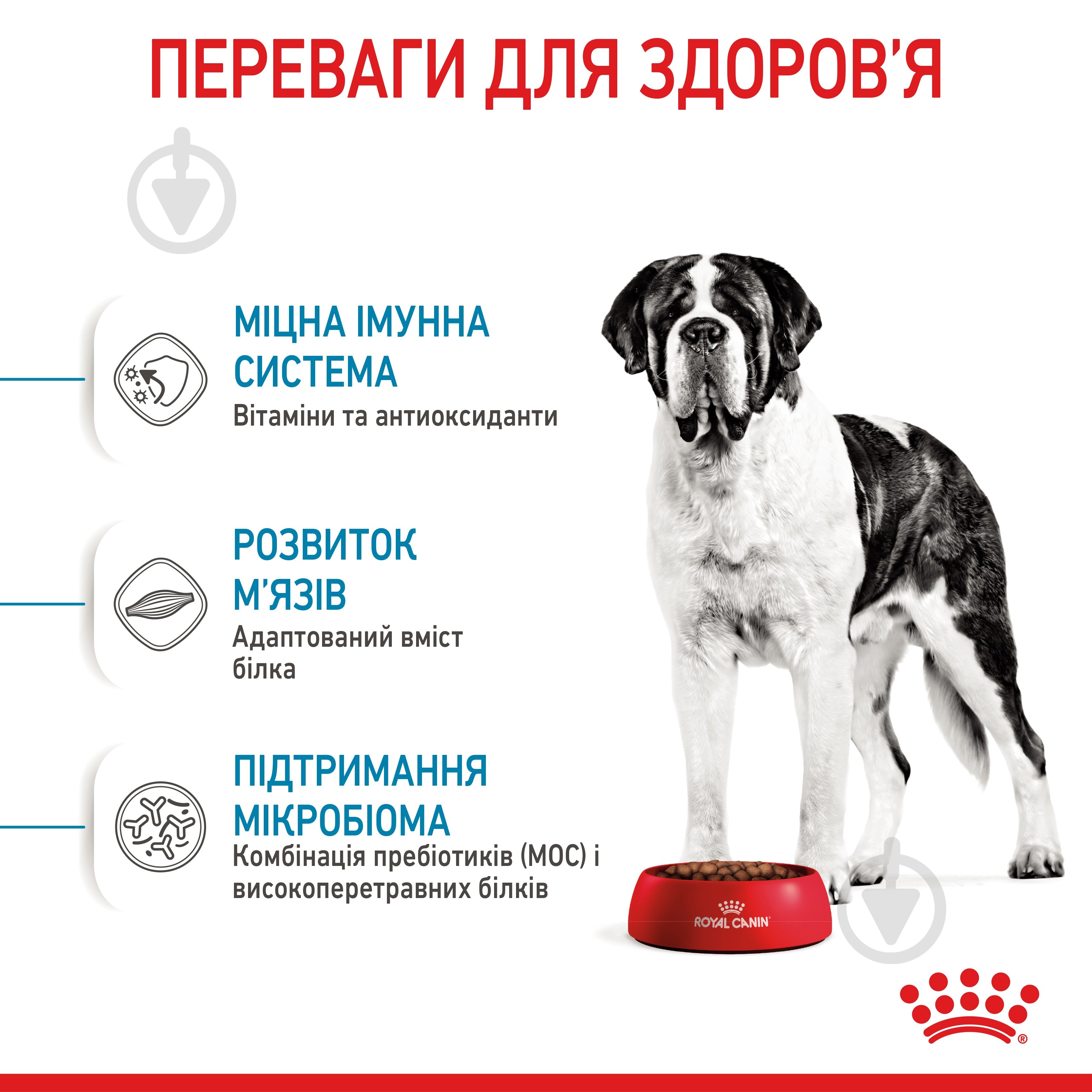 Корм сухой Royal Canin GIANT JUNIOR 15 кг (домашняя птица, рис, кукуруза) 15 кг - фото 5