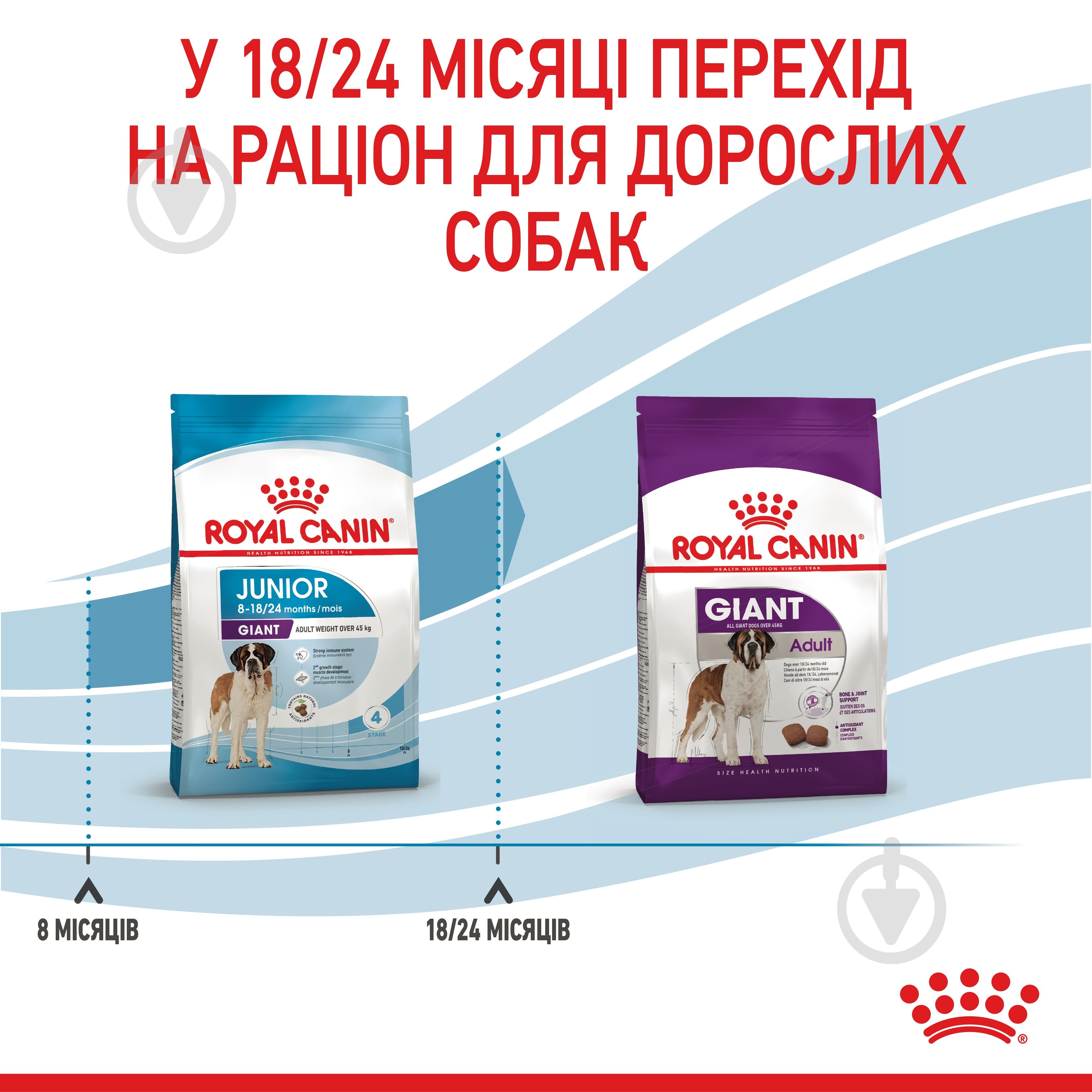Корм сухой Royal Canin GIANT JUNIOR 15 кг (домашняя птица, рис, кукуруза) 15 кг - фото 7