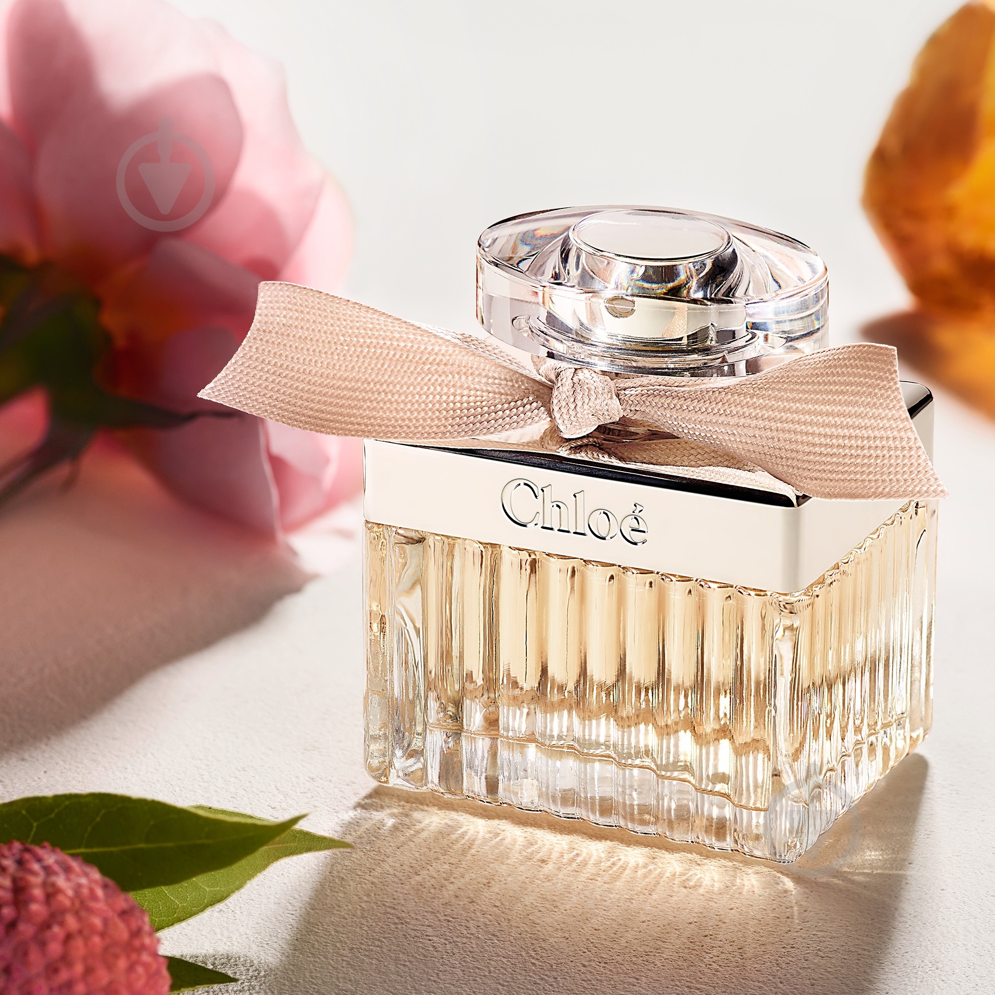 Парфюмированная вода Chloe Chloe Eau de Parfum 30 мл - фото 4