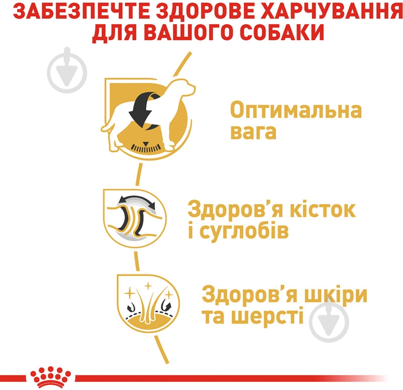 Корм сухий для дорослих собак для крупних порід Royal Canin LABRADOR RETRIEVER ADULT 12 кг (свійська птиця, рис, куку - фото 5 Корм сухий для дорослих собак для крупних порід Royal Canin LABRADOR RETRIEVER ADULT 12 кг (свійська птиця, рис, куку - фото 5