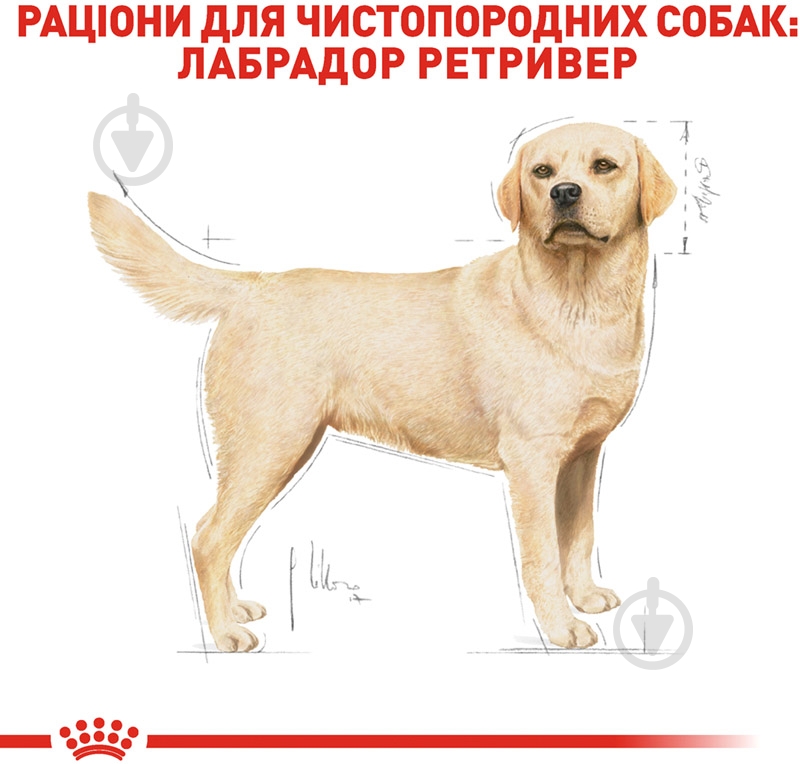Корм сухий для дорослих собак для крупних порід Royal Canin LABRADOR RETRIEVER ADULT 12 кг (свійська птиця, рис, куку - фото 3 Корм сухий для дорослих собак для крупних порід Royal Canin LABRADOR RETRIEVER ADULT 12 кг (свійська птиця, рис, куку - фото 3