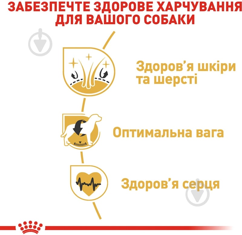 Корм сухой для взрослых собак для средних пород Royal Canin COCKER ADULT (Кокер Эдалт), 3 кг (домашняя птица, рис, кукуруза) 3 кг - фото 5