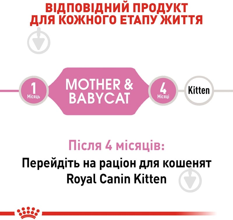 Корм сухой для котят от 4 месяцев и кормящих кошек Royal Canin Mother and Babycat домашняя птица, рис 400 г - фото 3 Корм сухой для котят от 4 месяцев и кормящих кошек Royal Canin Mother and Babycat домашняя птица, рис 400 г - фото 3