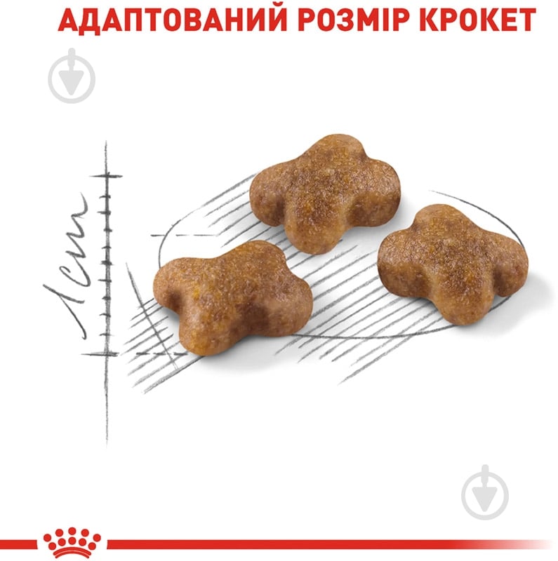 Корм сухой для котят Royal Canin Kitten домашняя птица, рис 400 г - фото 4 Корм сухой для котят Royal Canin Kitten домашняя птица, рис 400 г - фото 4