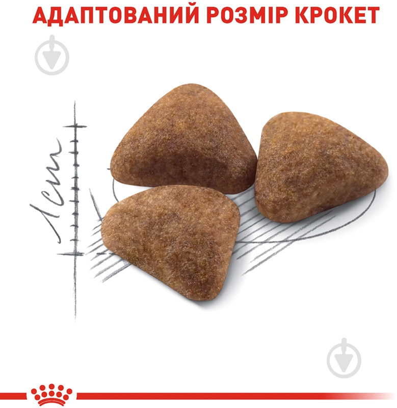 Корм сухой для домашних кошек от 12 месяцев до 7 лет, проживающих в помещении Royal Canin Indoor птица, пшеница 400 г - фото 5