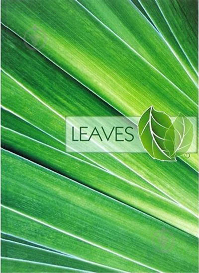 Блокнот Рисунки природы – Листья А4 в линию 96 листов Optima - фото 1