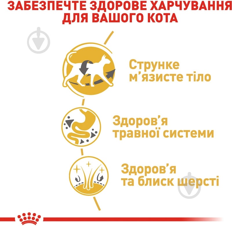 Корм сухой для взрослых кошек сиамской породы Royal Canin Siamese Adult домашняя птица, кукуруза, рис 400 г - фото 6