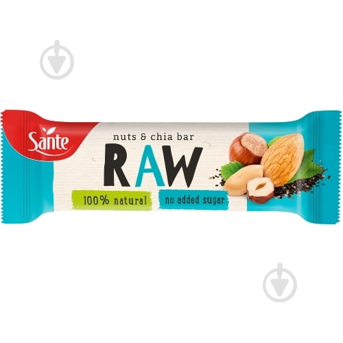 Батончик Go on Raw Fruit Bar Nuts and Chia 35 г - фото 1
