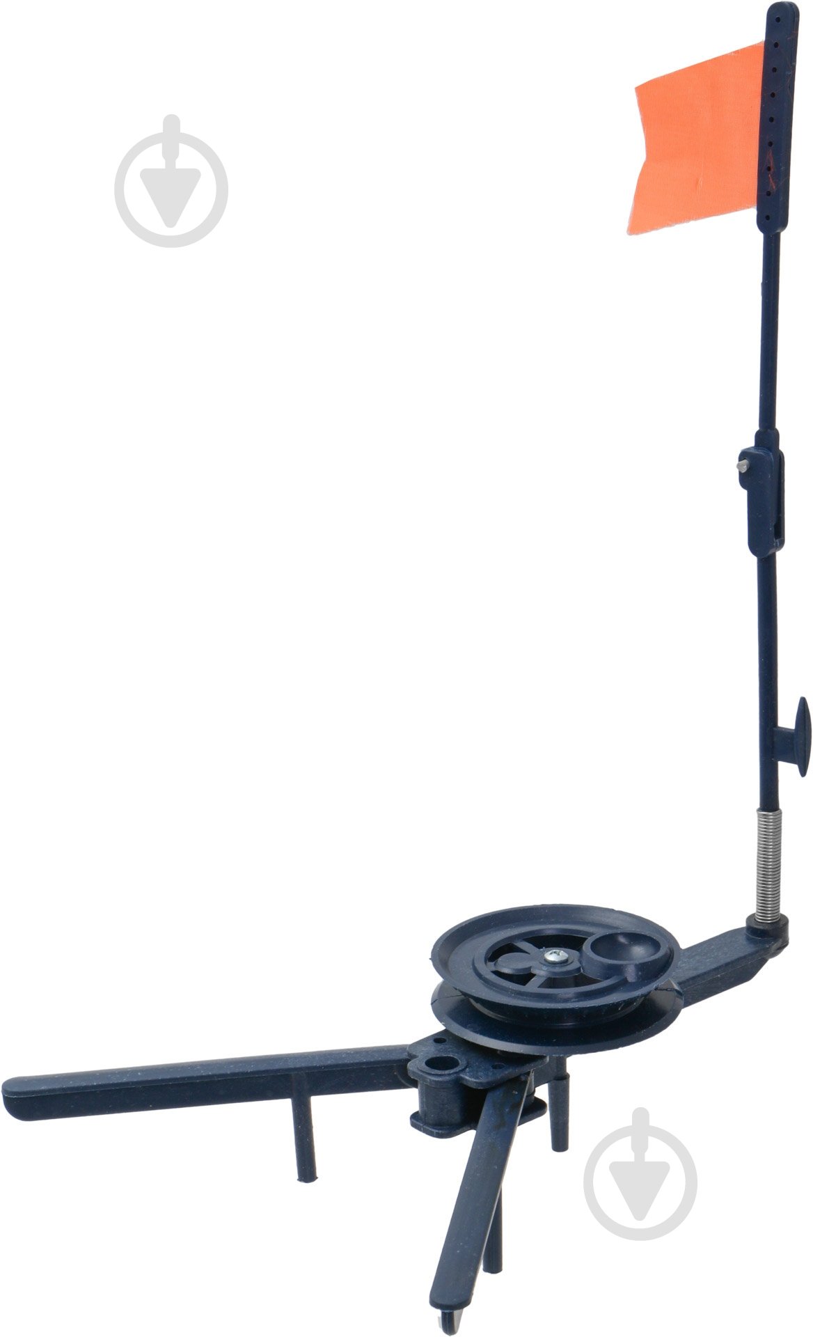 Жерлиця горизонтальна - фото 1