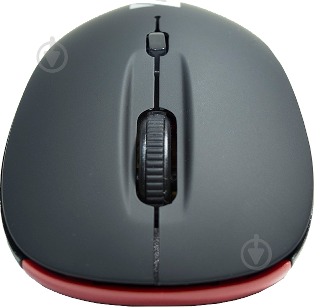 Мышь Defender Dacota Nano MS-155 (52155) black - фото 5