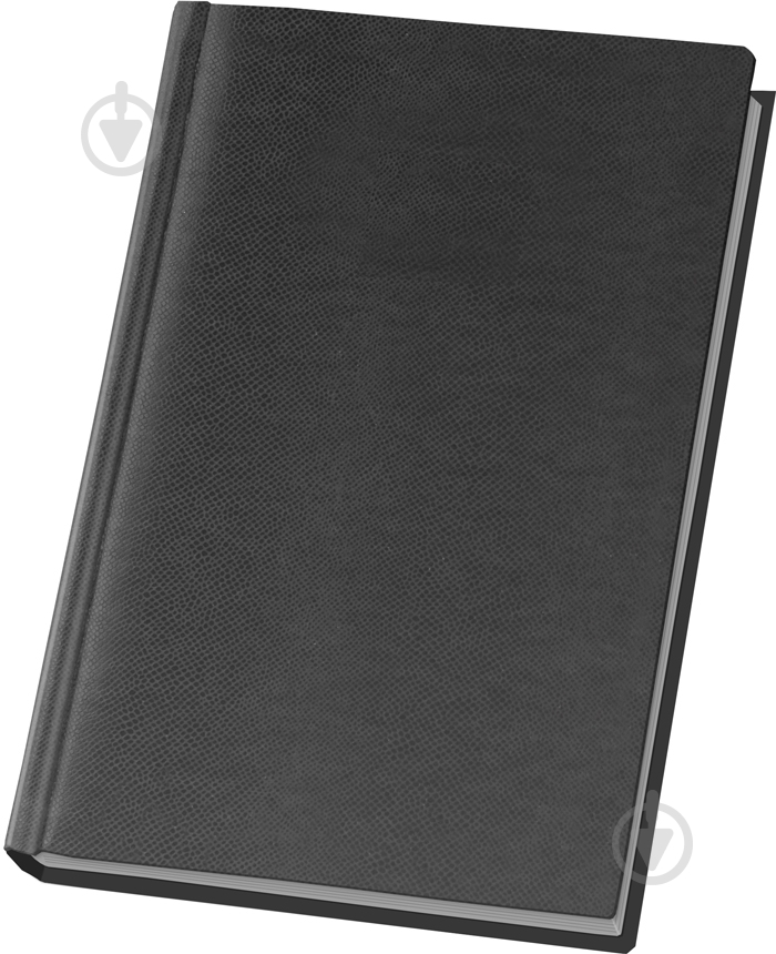 Ежедневник полудатированный черный линия Optima Lizard A5 O21780-01 - фото 1