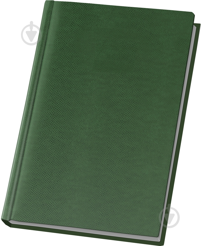 Ежедневник полудатированный зеленый линия Optima Lizard A5 O21780-04 - фото 1