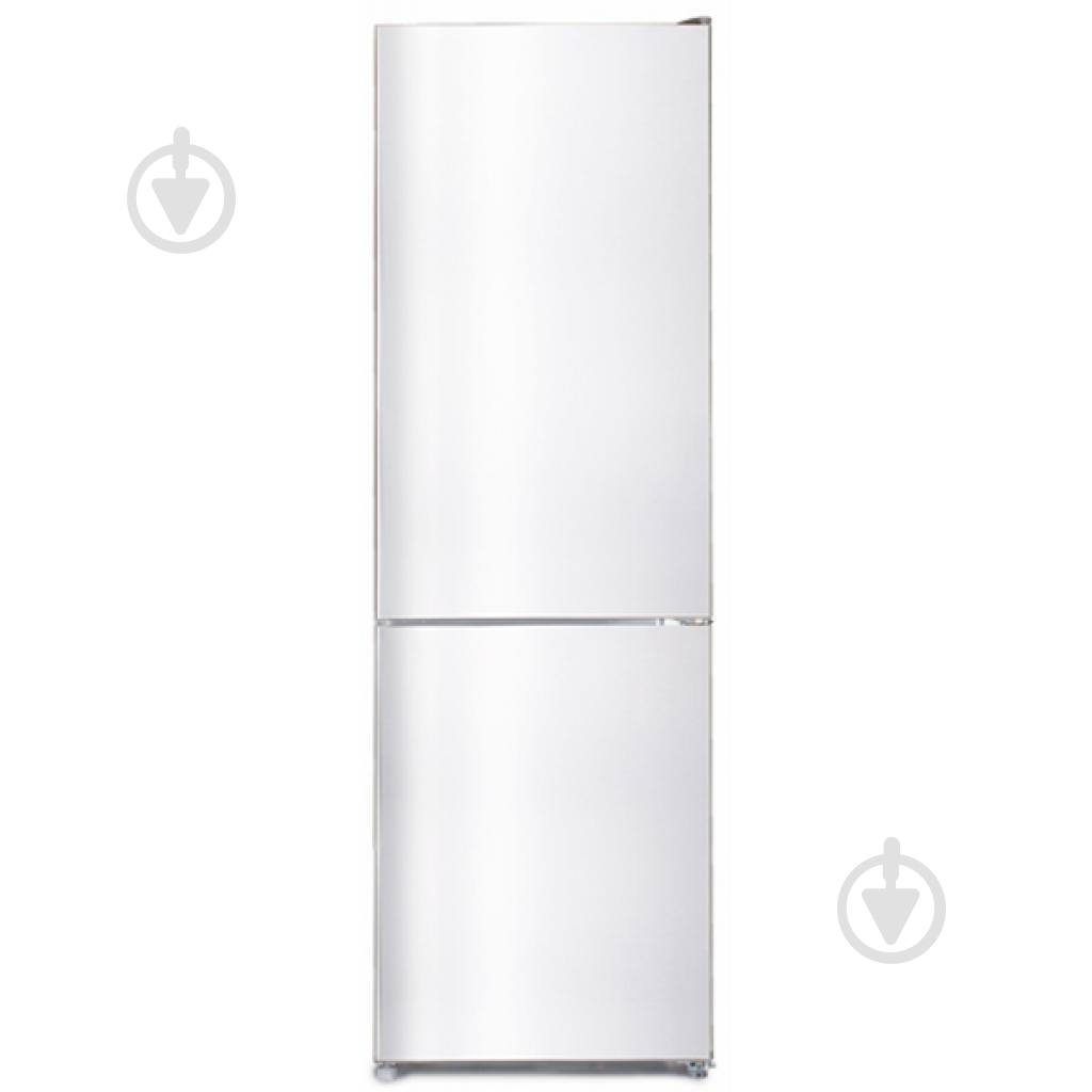 Холодильник Snaige RF56SG-P50026 - фото 1