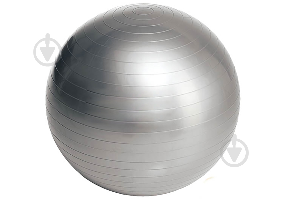 Фитбол EasyFit 65 см серый d65 EF-3007 - фото 1