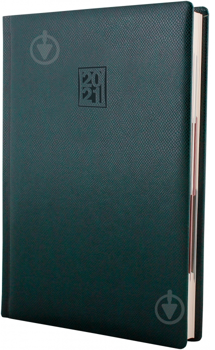 Дневник датированный зеленый линия Optima Lizard A5 2021 O25242-04 - фото 1 Дневник датированный зеленый линия Optima Lizard A5 2021 O25242-04 - фото 1