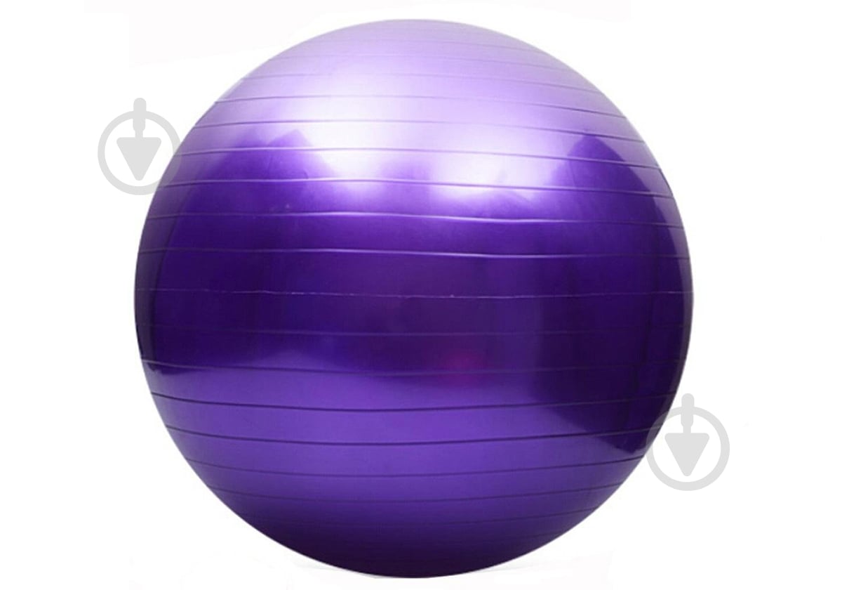 Фитбол EasyFit фиолетовый d65 EF-3007 - фото 1